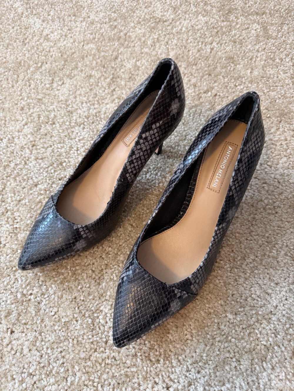 ANTONIO MELANI Black Snake-Print Pointed Pumps